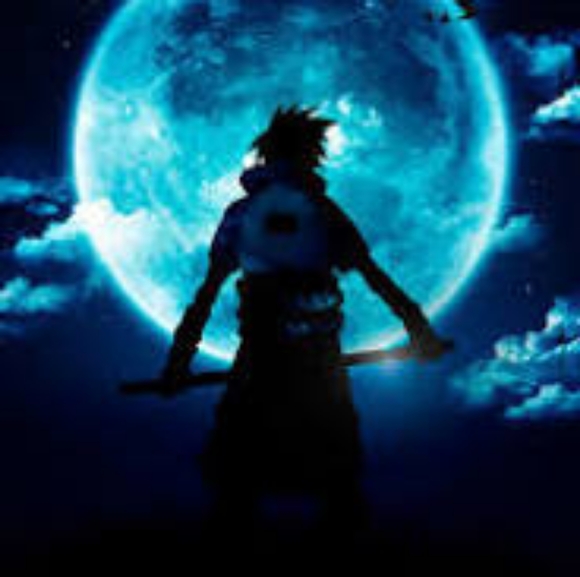 Meet your Posher, Kai - Picture 4 of 8